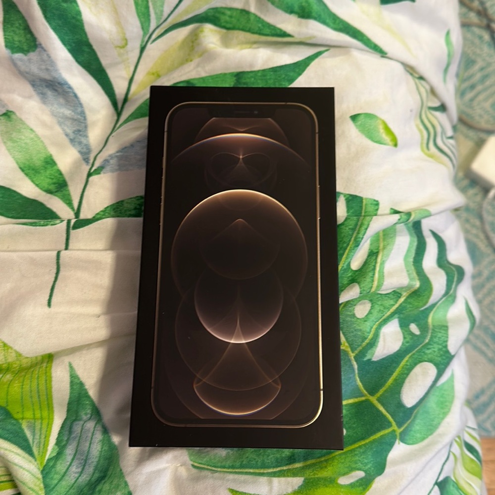 iPhone 12 Pro Max box